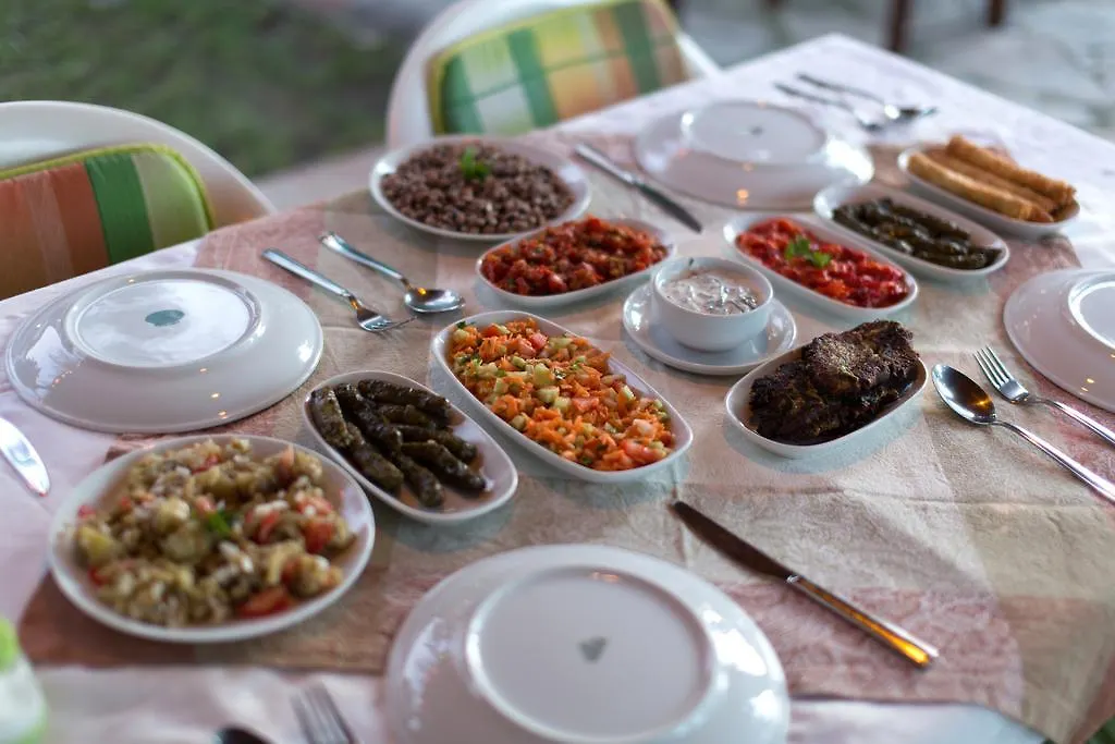 Dalyan Garden Pension 0*,  Турция