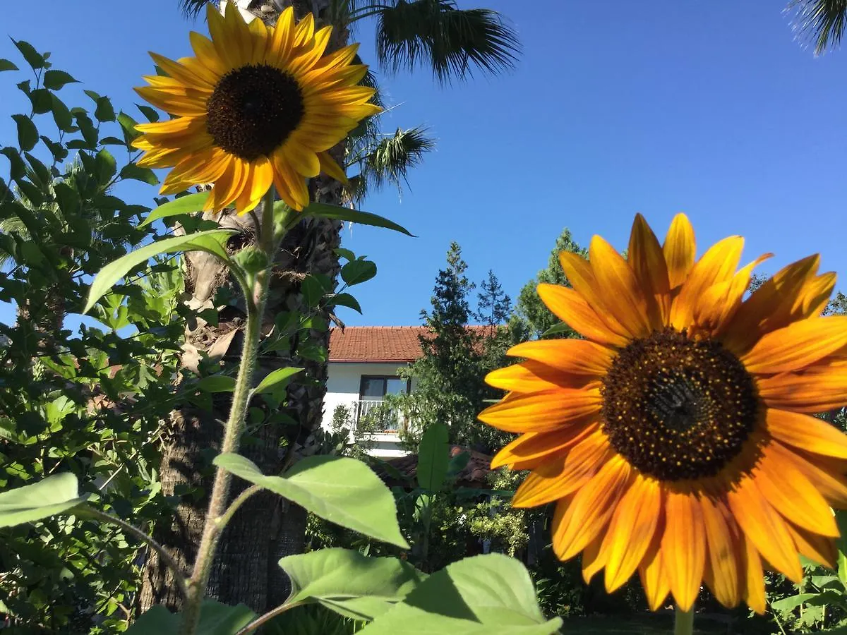 Dalyan Garden Pension Отель типа 